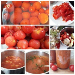 Příprava rajčatové salsy